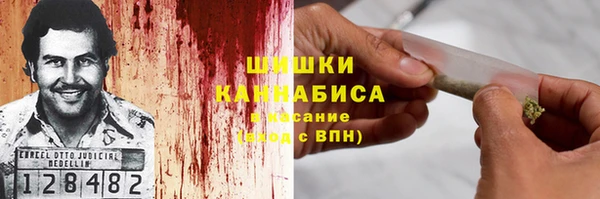 ГАЛЛЮЦИНОГЕННЫЕ ГРИБЫ Волосово
