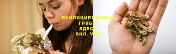 mdpv Ачинск