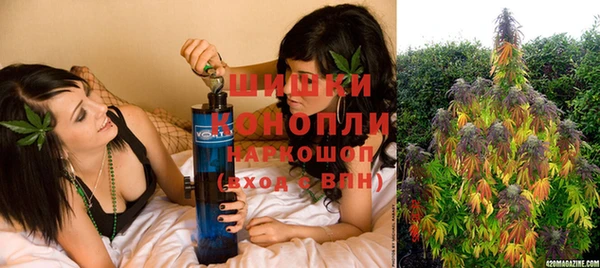 ГАЛЛЮЦИНОГЕННЫЕ ГРИБЫ Волосово