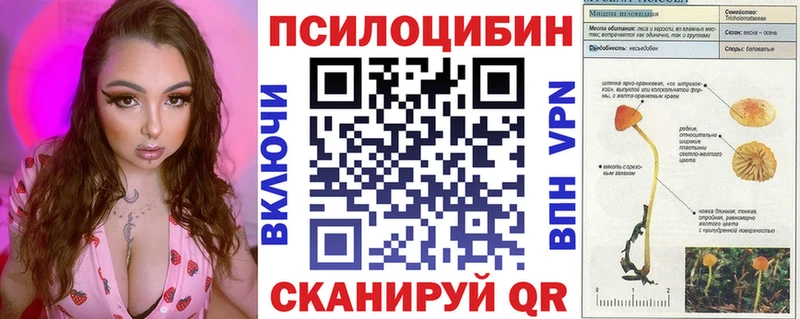 MEGA вход  Горбатов  Галлюциногенные грибы Psilocybe 